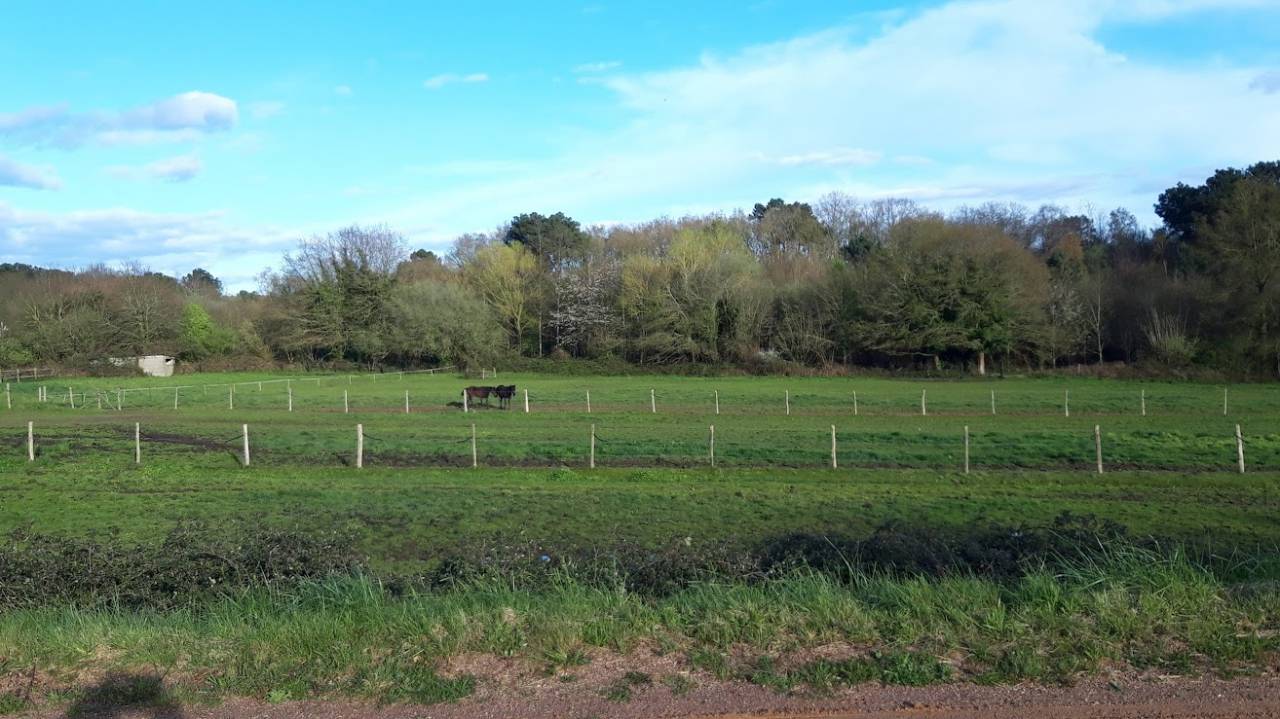 Proche du MANS haras-écurie de courses sur 10 hectares