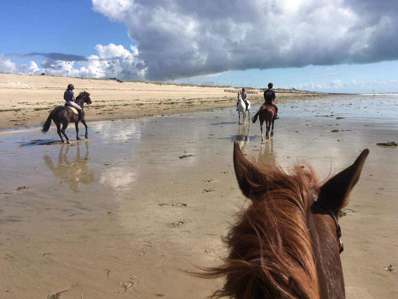 gites équestre bord de mer
