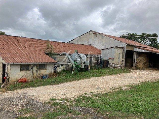 EXPLOITATION LAIT AOP Comté en petite montagne