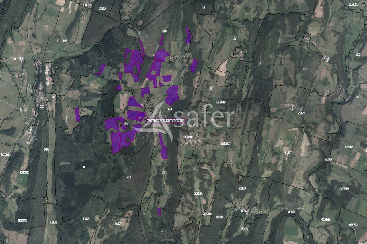 EXPLOITATION LAIT AOP Comté en petite montagne