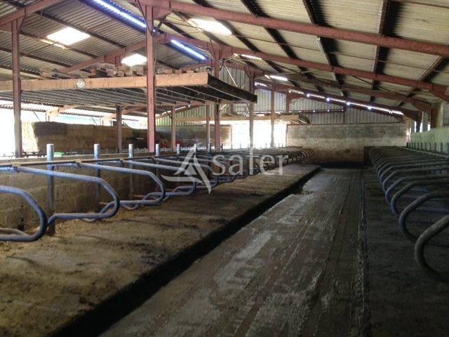 EXPLOITATION LAIT AOP Comté en petite montagne