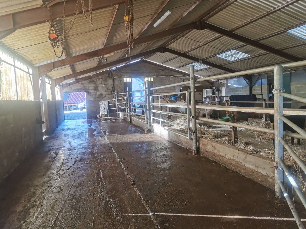 Propriété équestre sur 17 ha – 18 (cher) 