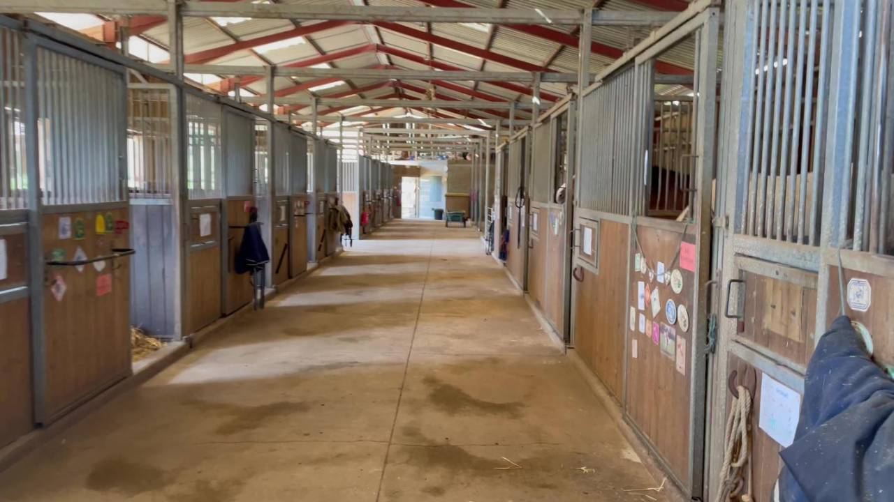 Propriété équestre