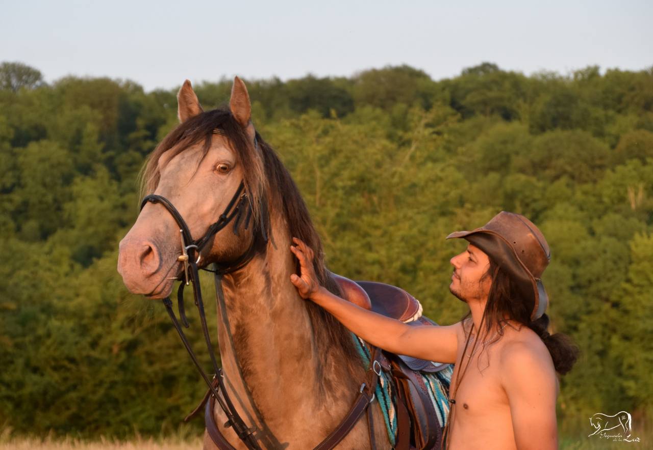 Gucci Blue, Etalon PRE x Quarter Champagne, 9 ans