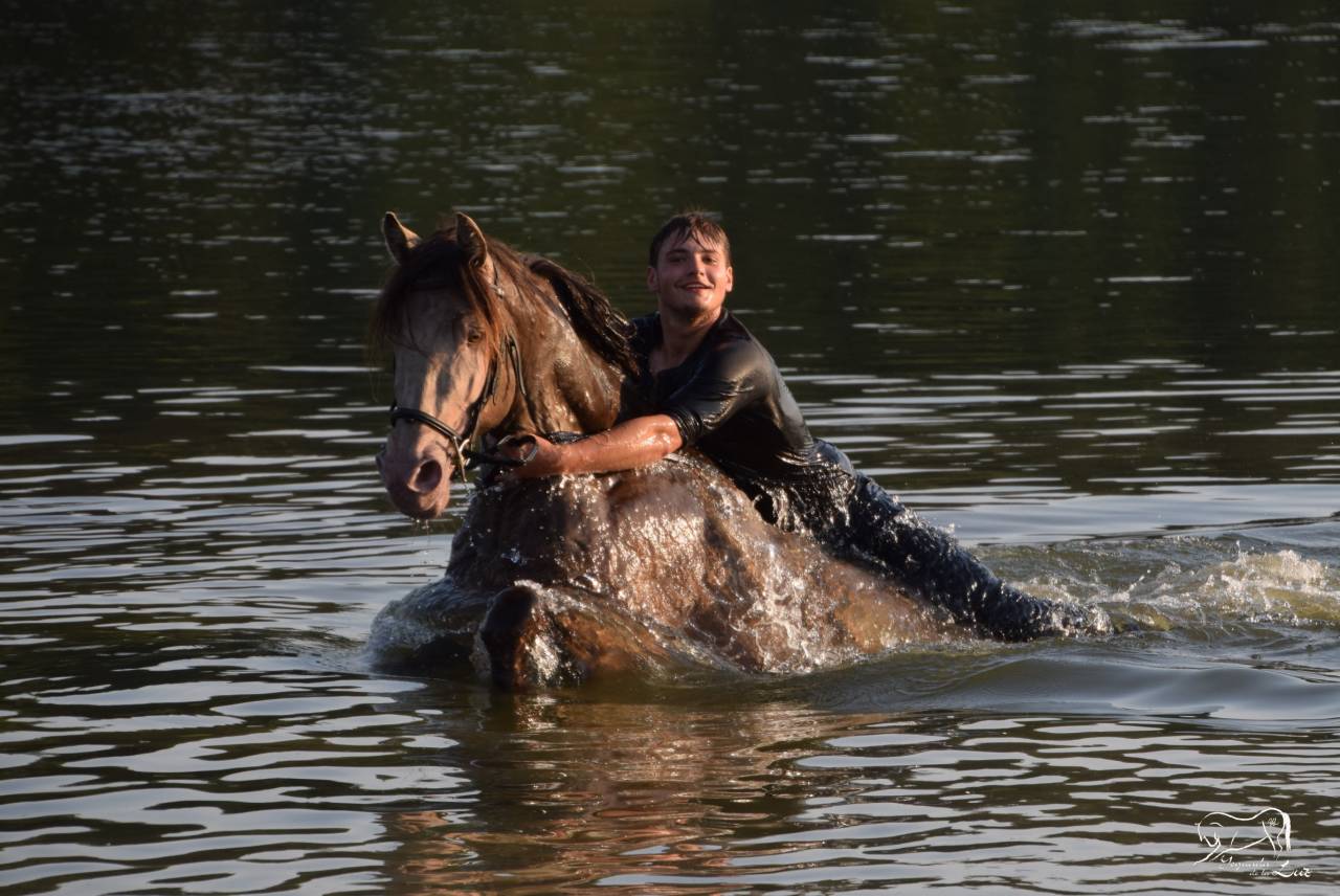 Gucci Blue, Etalon PRE x Quarter Champagne, 9 ans