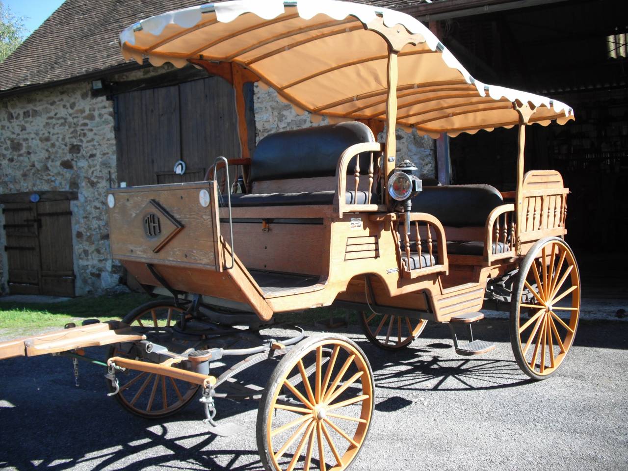 Chevaux Mérens et calèche