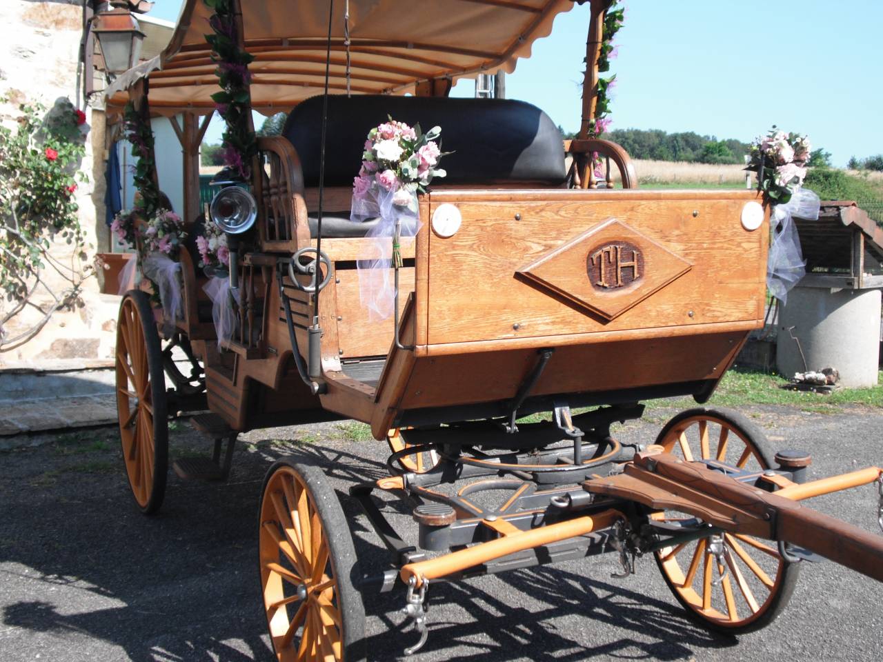 Chevaux Mérens et calèche