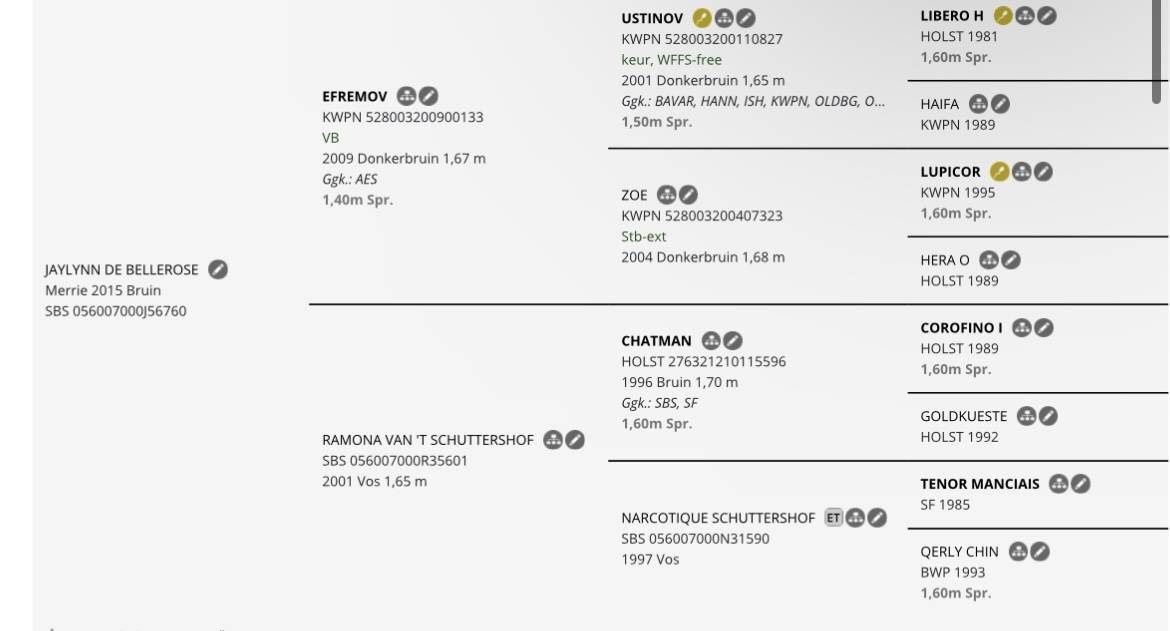 Juments idéal pour l’élevage!