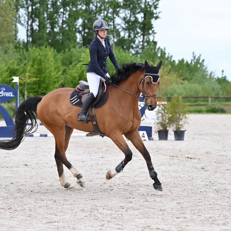 Cavaliere / monitrice / gardienne etc