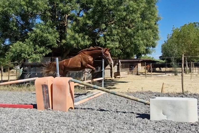 2ans avec un mental de guerrier