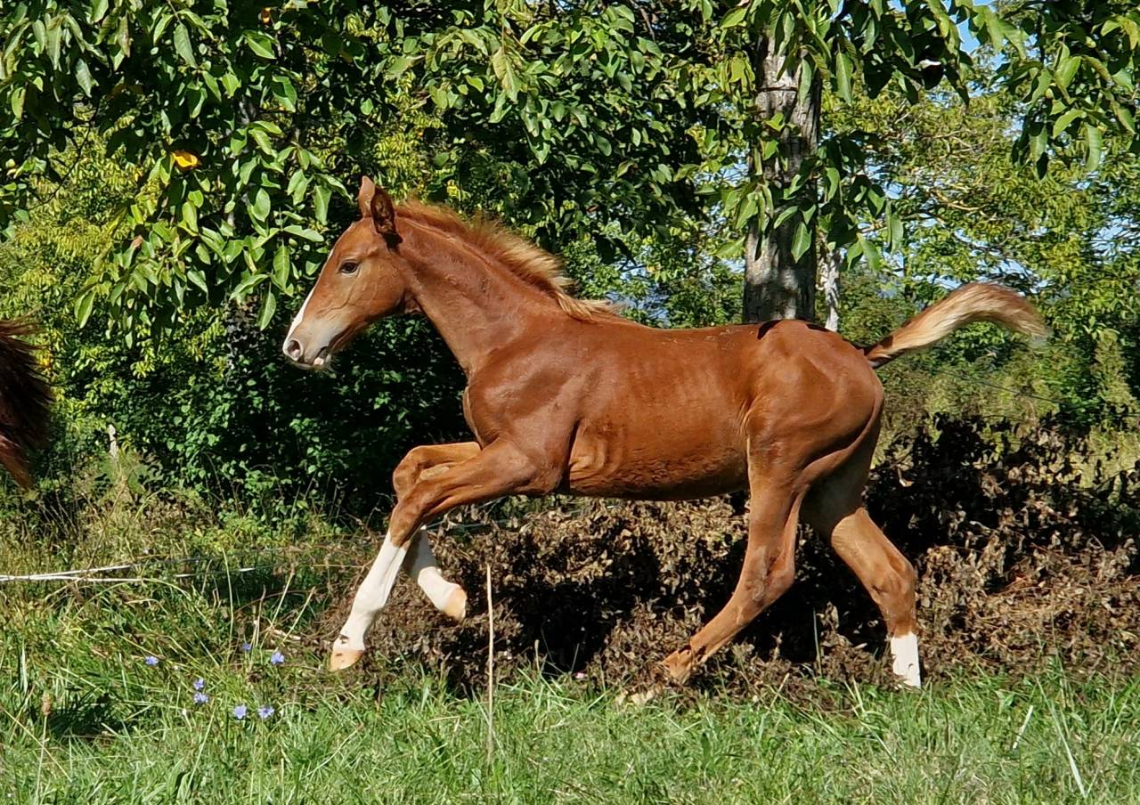 2ans avec un mental de guerrier