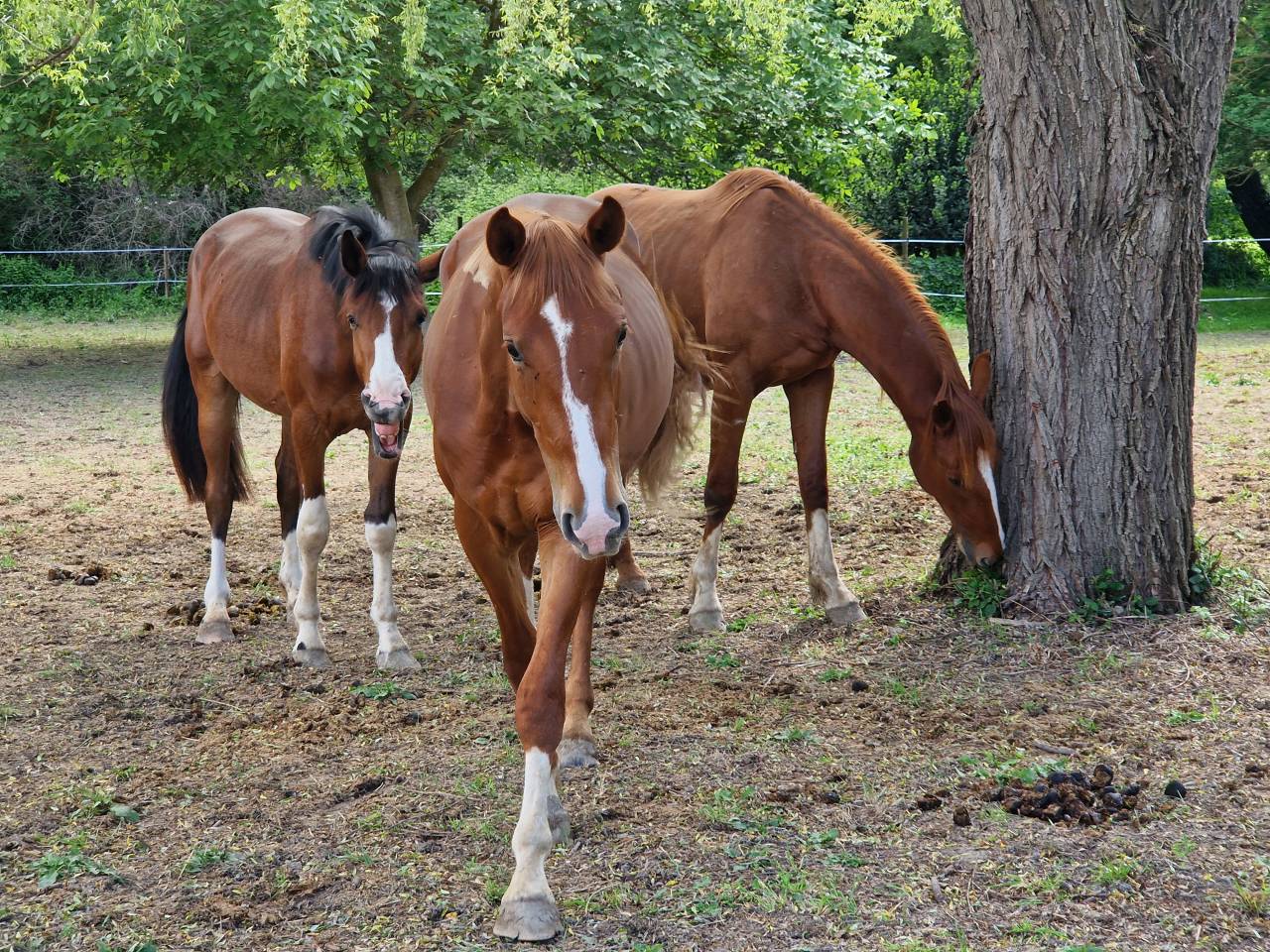 2ans avec un mental de guerrier