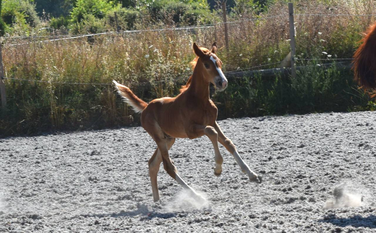2ans avec un mental de guerrier