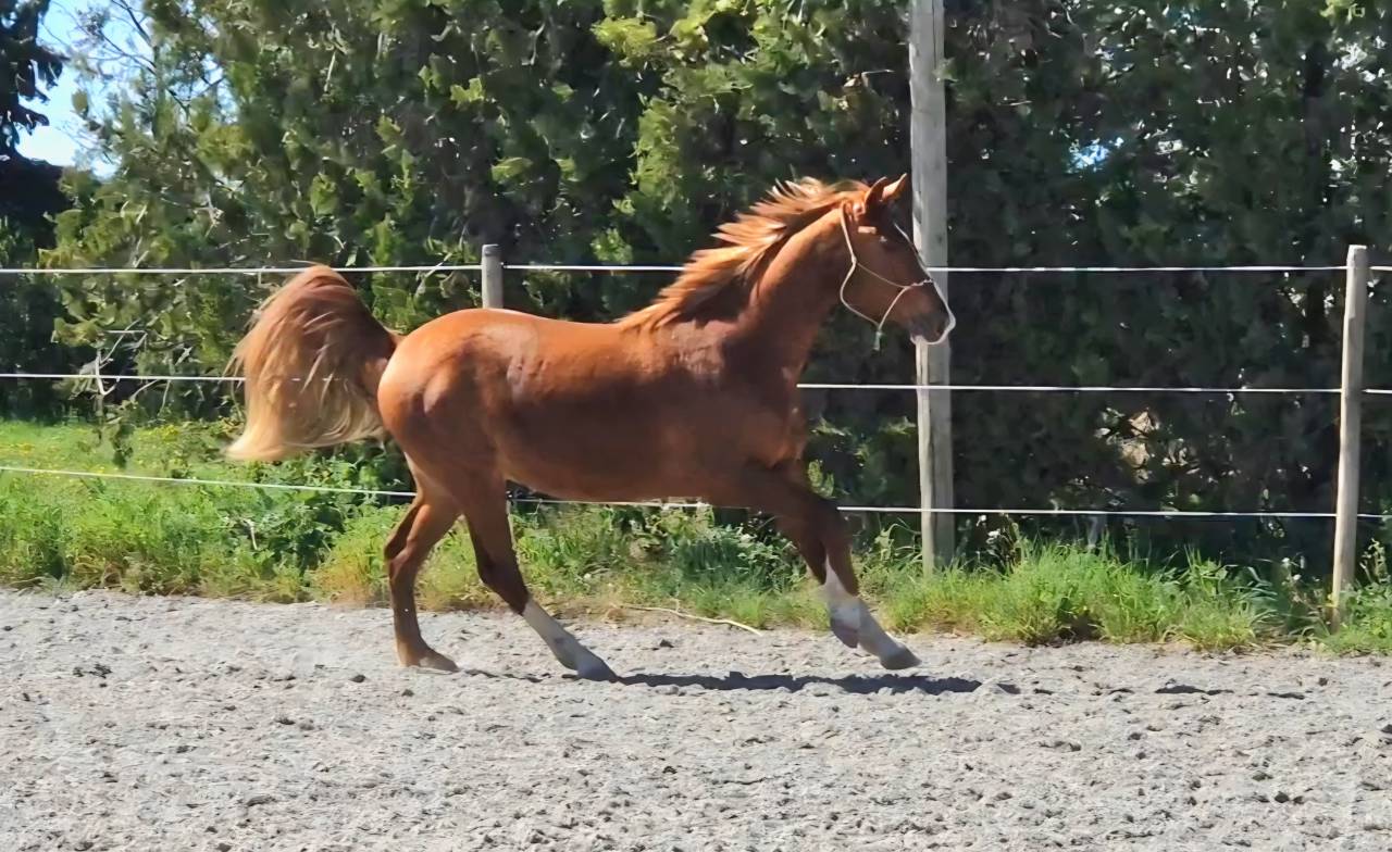 2ans avec un mental de guerrier