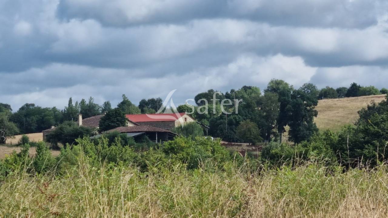 Propriété de 61ha entre Vic-Fezensac et Eauze
