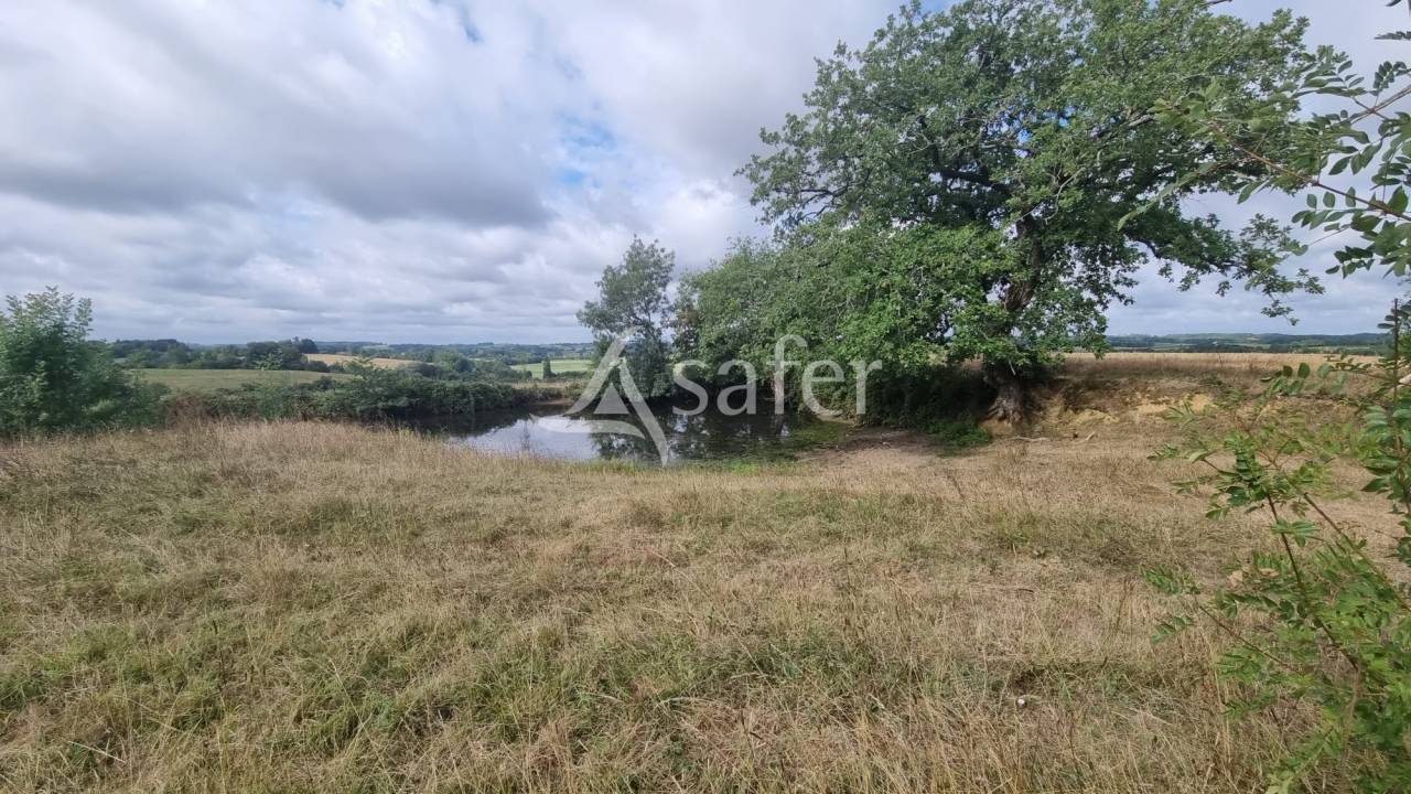 Propriété de 61ha entre Vic-Fezensac et Eauze