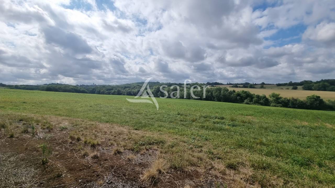 Propriété de 61ha entre Vic-Fezensac et Eauze
