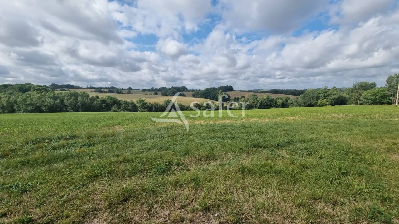 Propriété de 61ha entre Vic-Fezensac et Eauze
