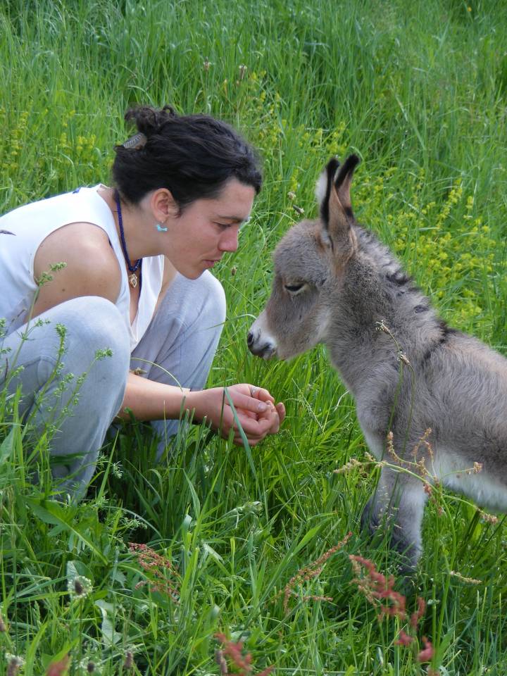 Anes SARDES et miniatures MEDIATION et compagnie