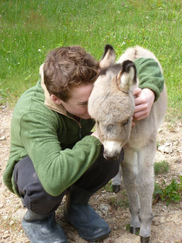 Anes SARDES et miniatures MEDIATION et compagnie