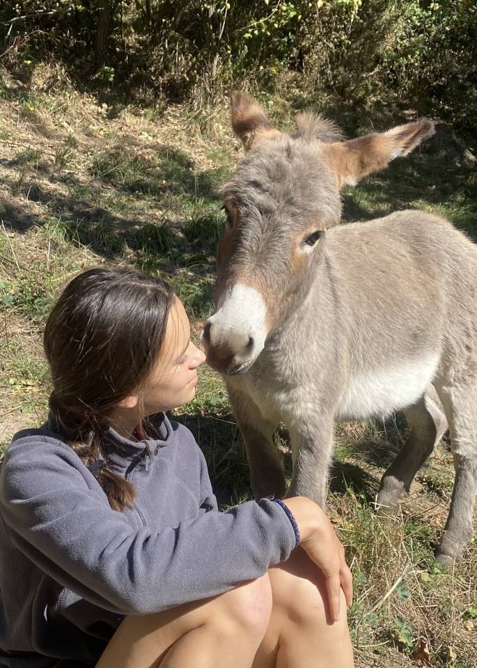 Anes SARDES et miniatures MEDIATION et compagnie