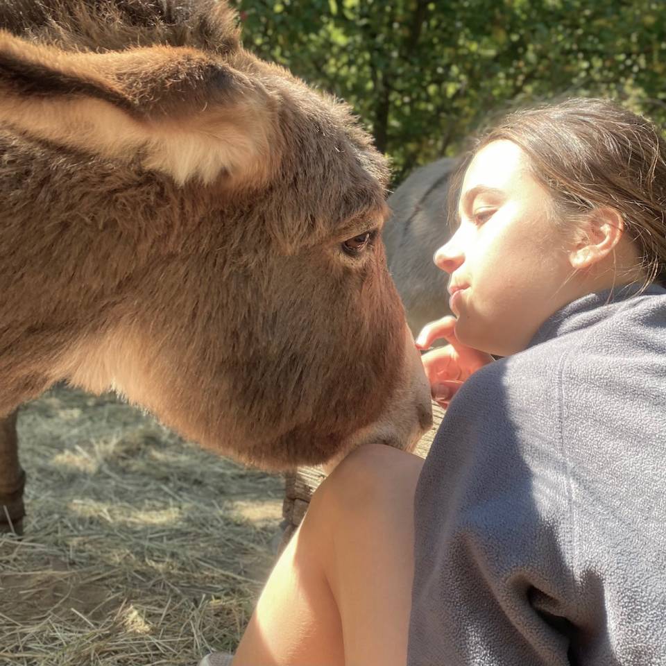 Anes SARDES et miniatures MEDIATION et compagnie