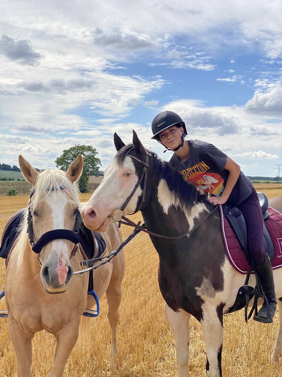 Paint Horse PP Hongre 11 ans