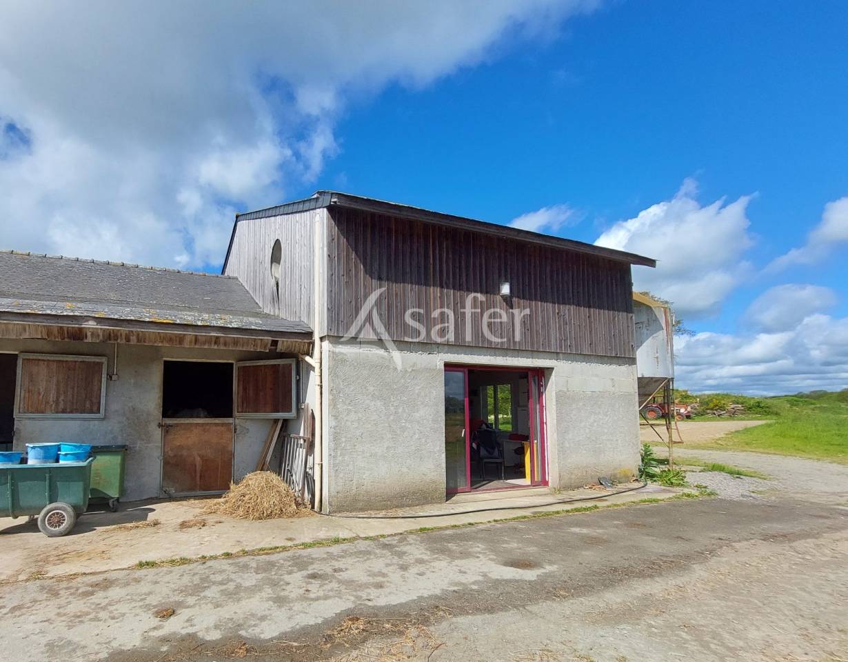 Propriété équestre - centre d'entraînement 28 ha