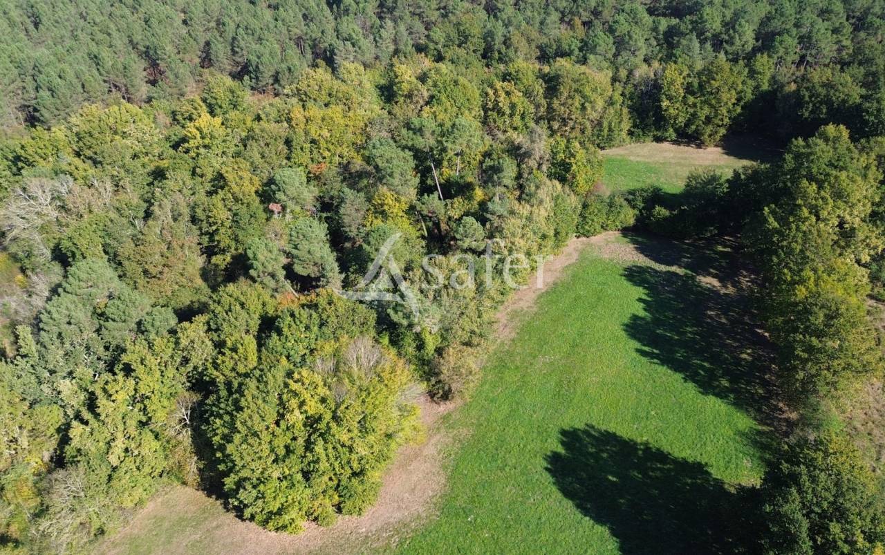 Propriété rurale sur 6ha proche Bergerac