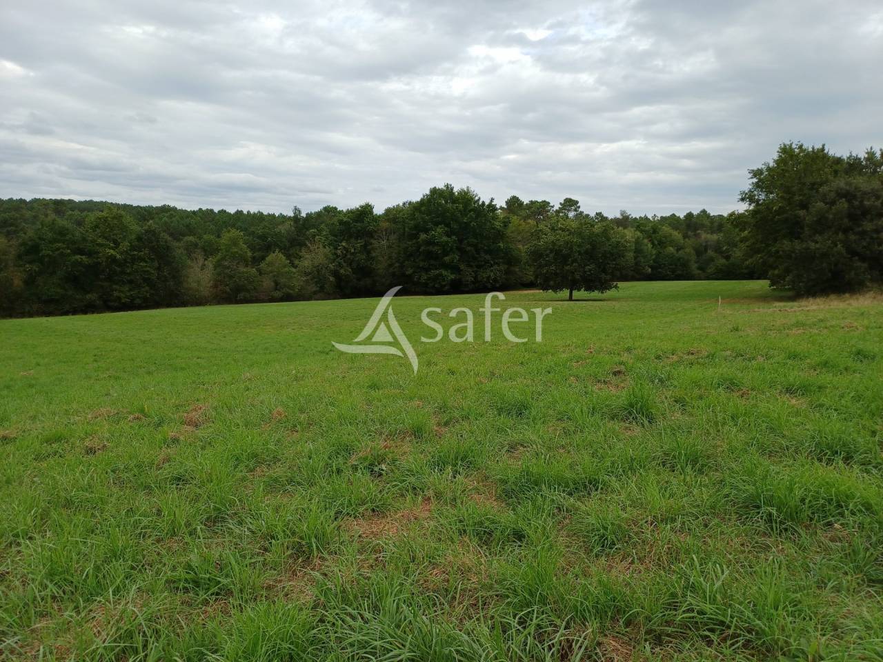Propriété rurale sur 6ha proche Bergerac