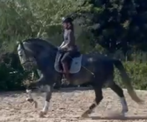 YERAY;La tranquillité que vous recherchez