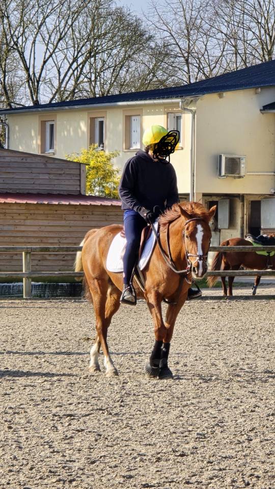 Poney C, Pony games.