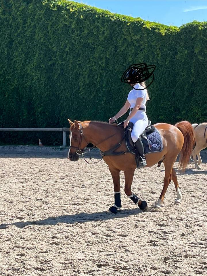 Poney C, Pony games.