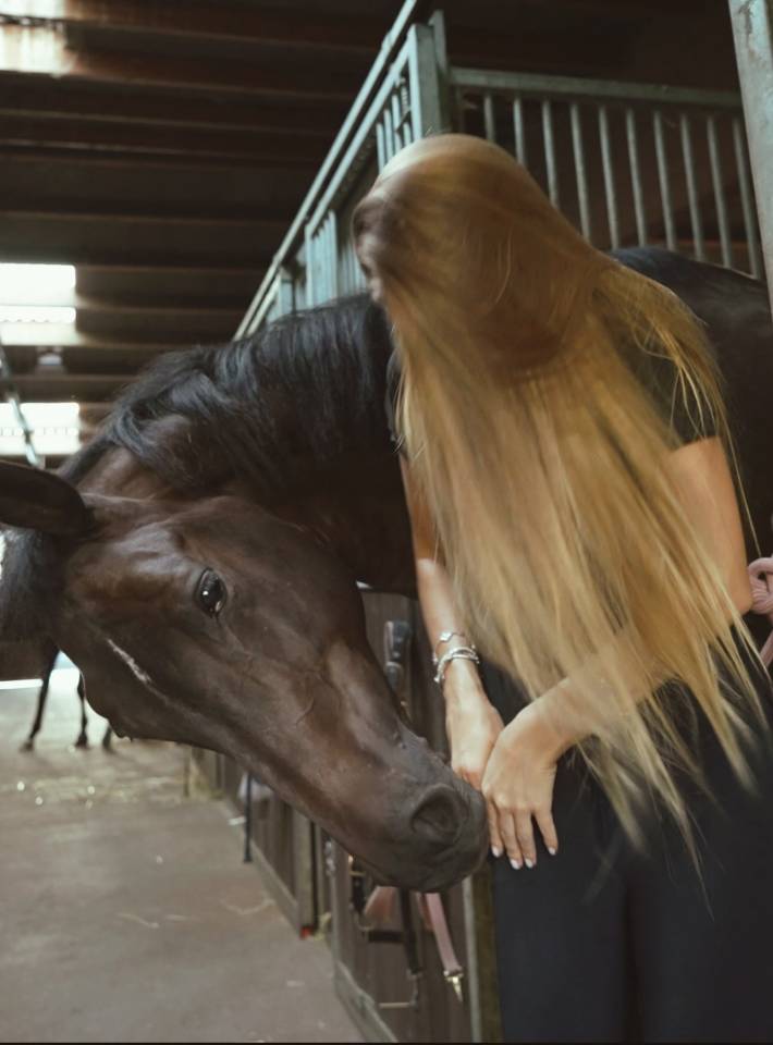 À vendre – Jument de concours, 12 ans