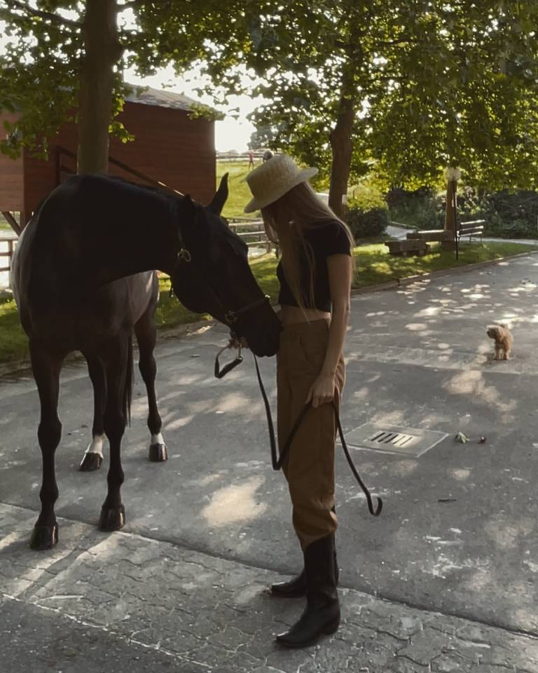 À vendre – Jument de concours, 12 ans