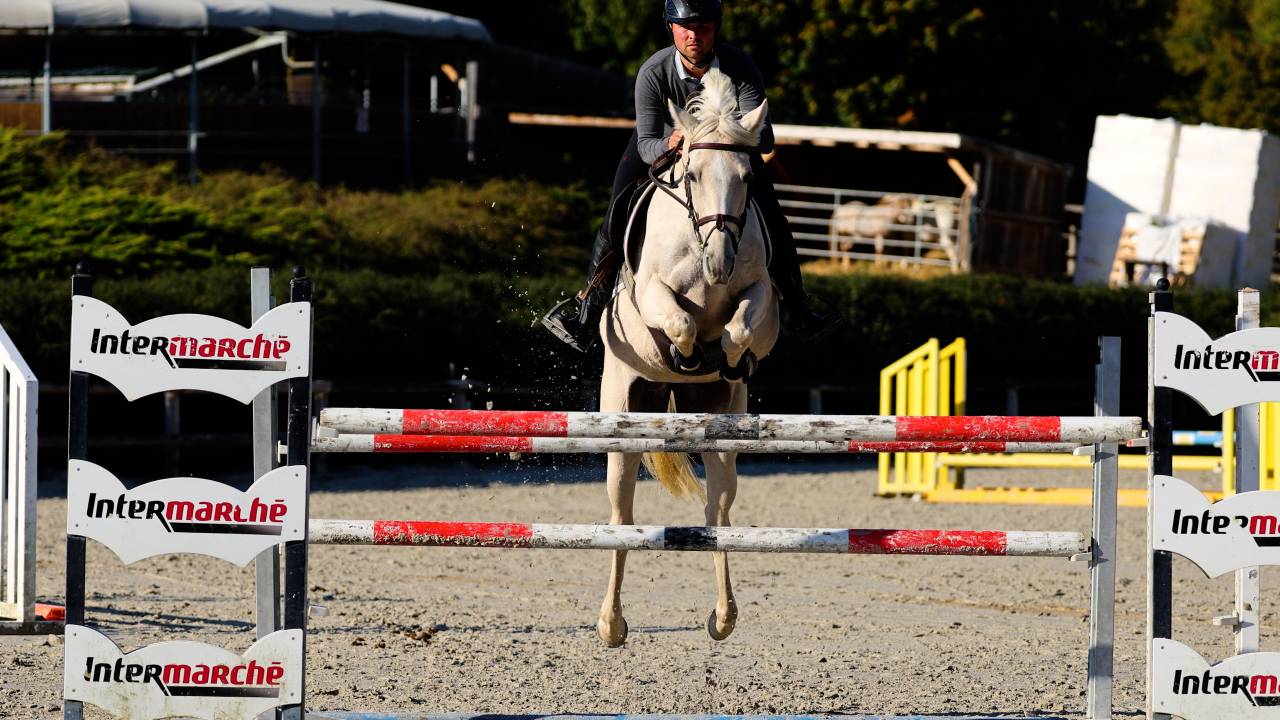 Jument 7 ans Palomino ISH