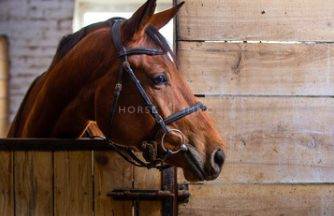 Provence- Belles écuries aux prestations completes
