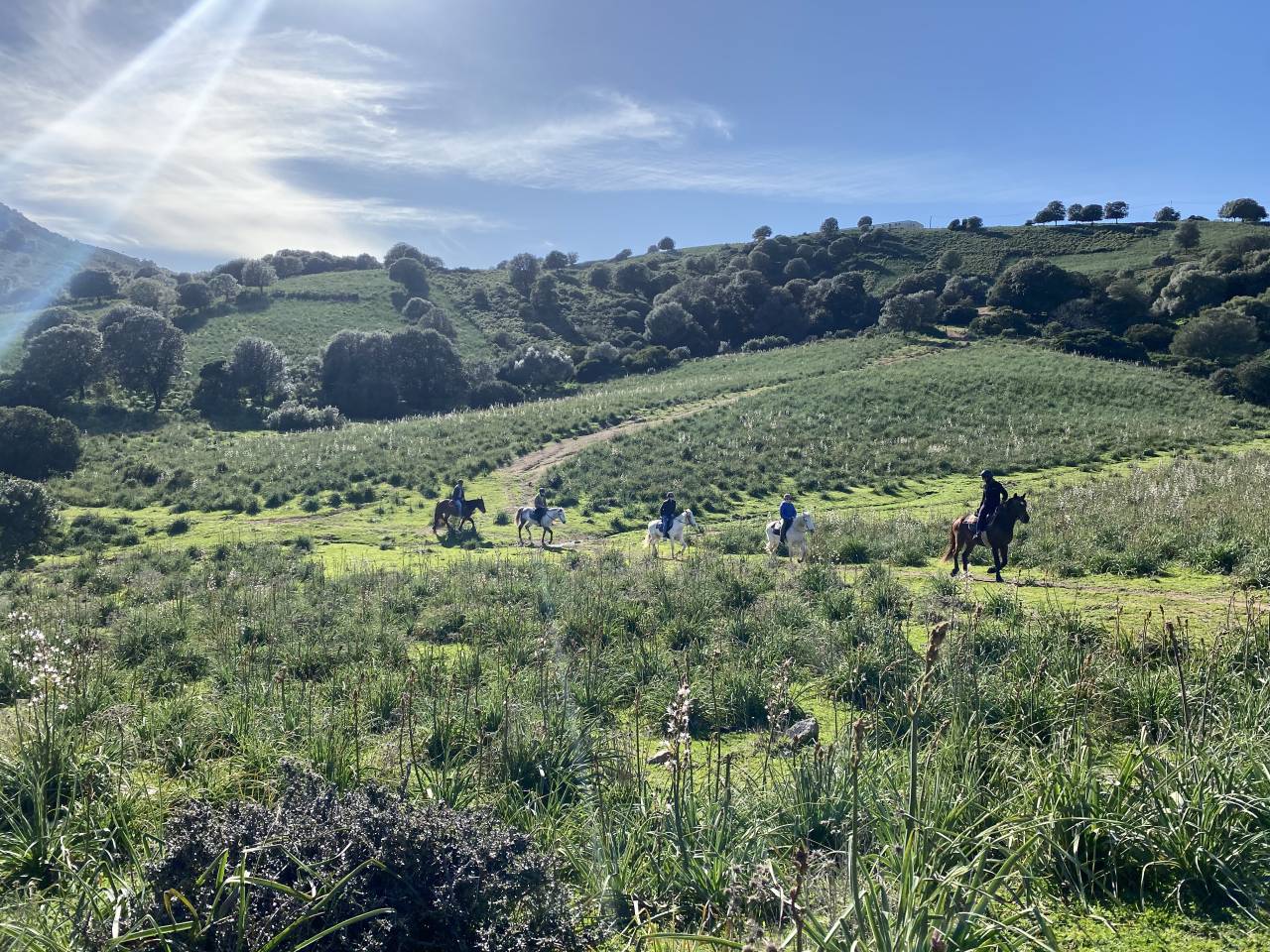 guide randonnée équestre corse saison 2026