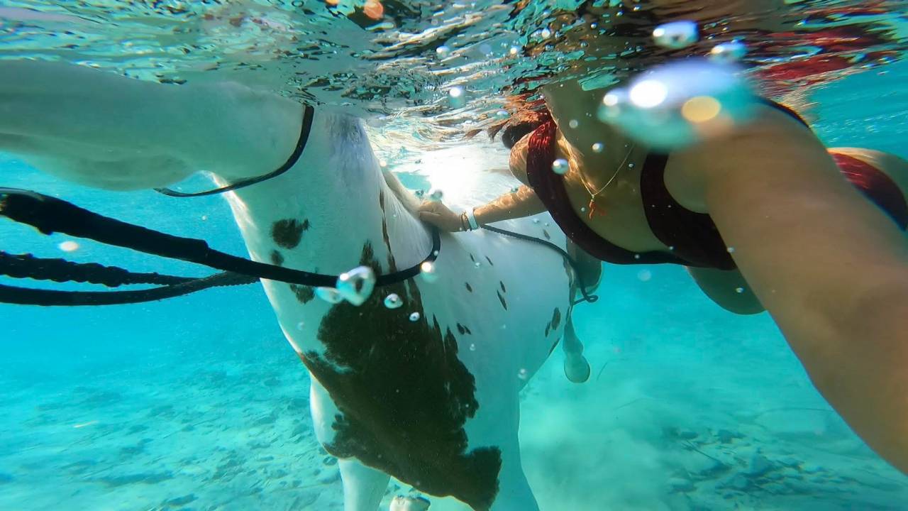 guide randonnée équestre corse saison 2026