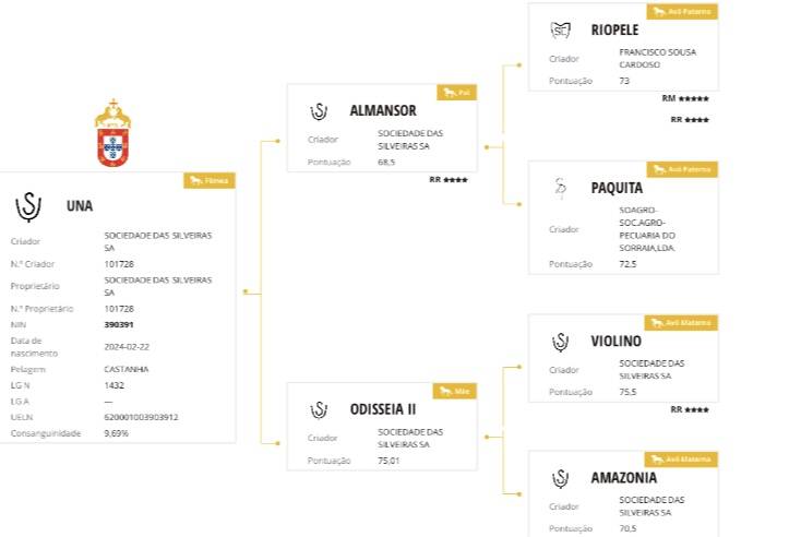 Pouliche lusitanienne 