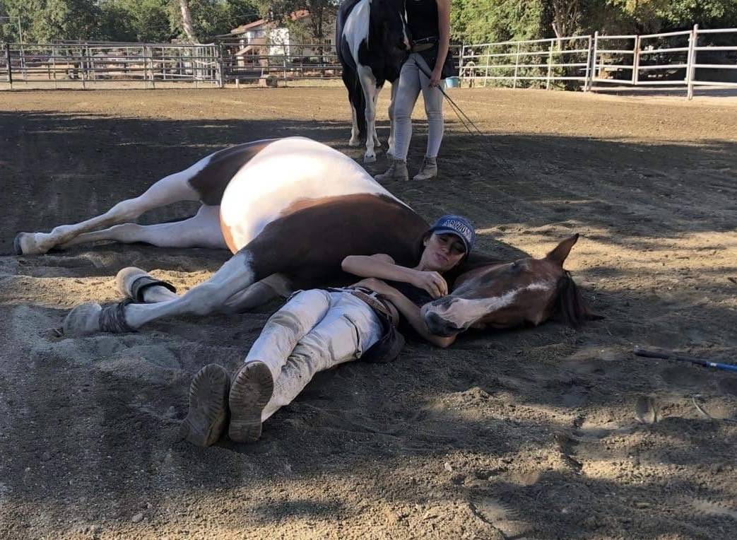 Enseignante d'equitation relationnelle