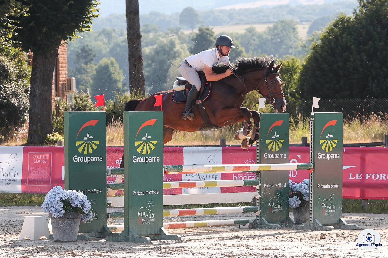 Super hongre très pratique 