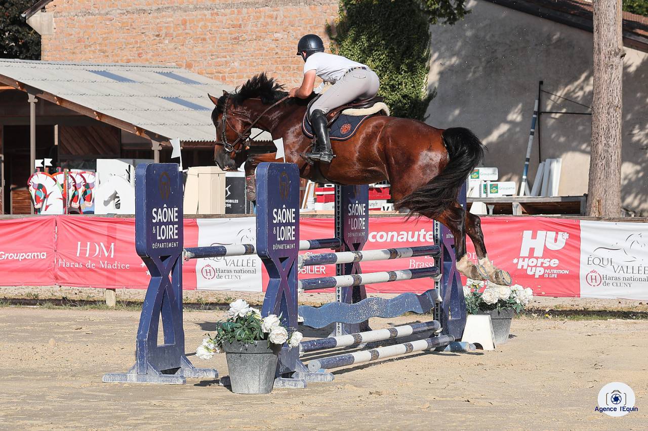 Super hongre très pratique 