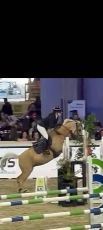 Top ponette de sport CSO / CCE &agrave; vendre 