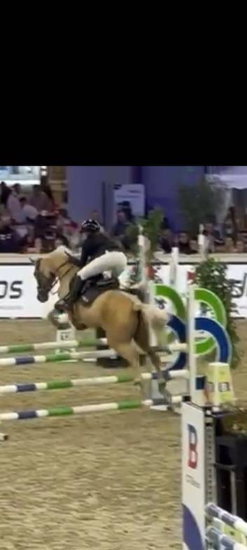 Top ponette de sport CSO / CCE &agrave; vendre 