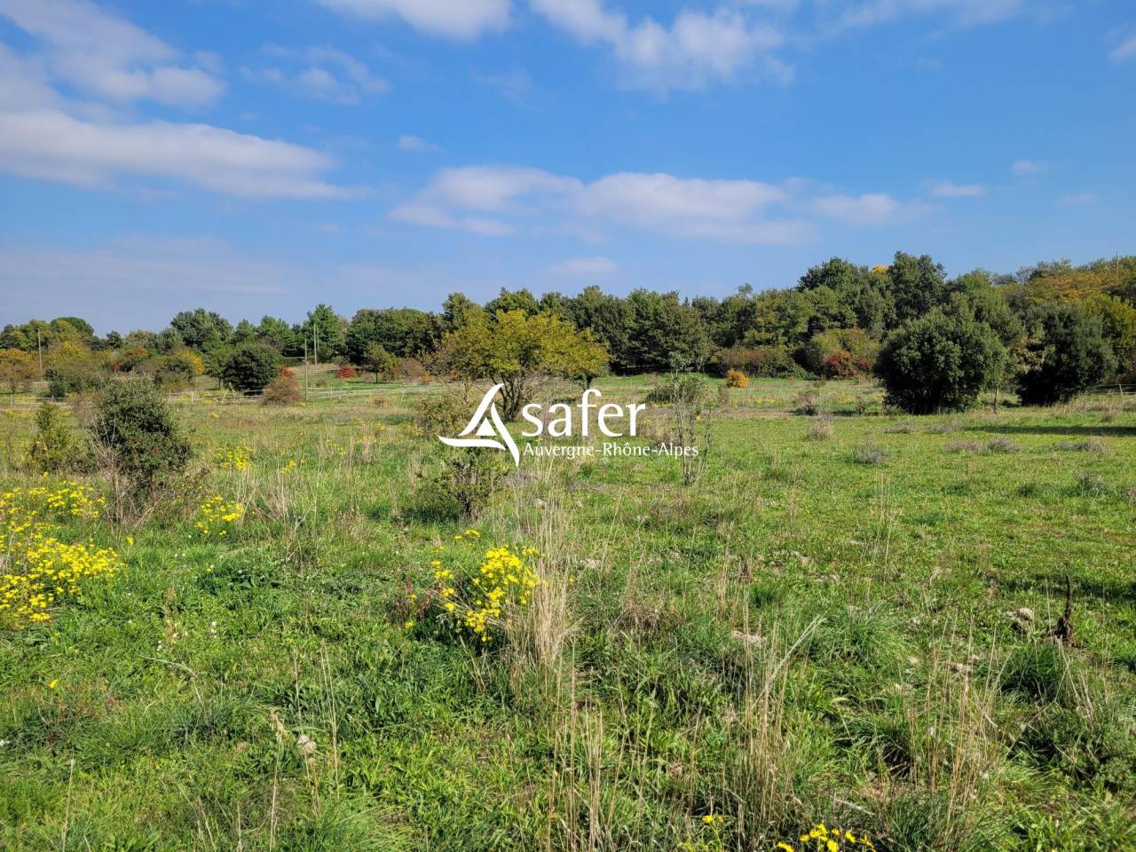 Propriété rurale en pierres de 2 habitations sur 4ha