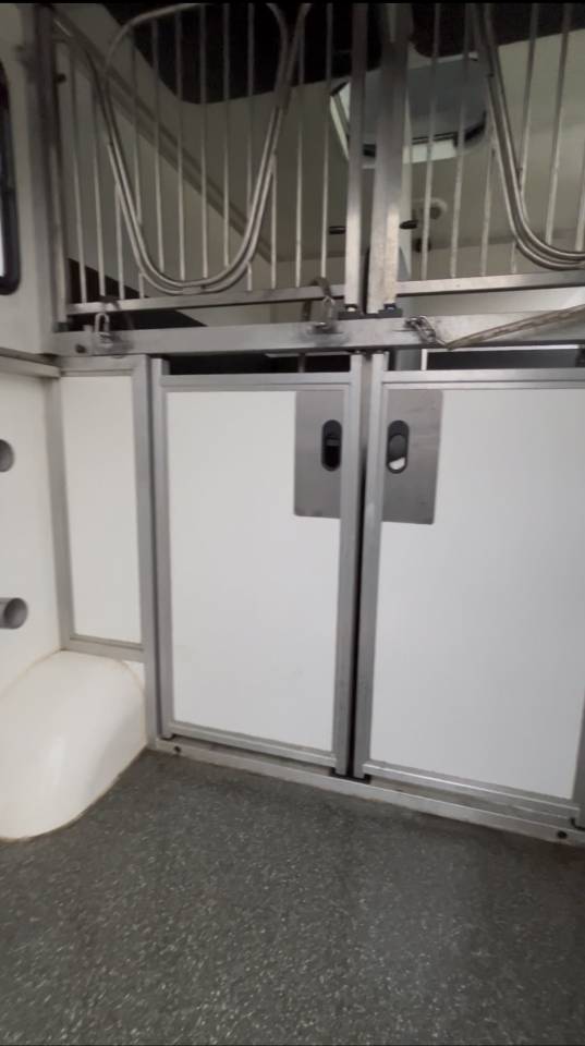 Camion VL chevaux  Renault Master Krismar peu de km - T