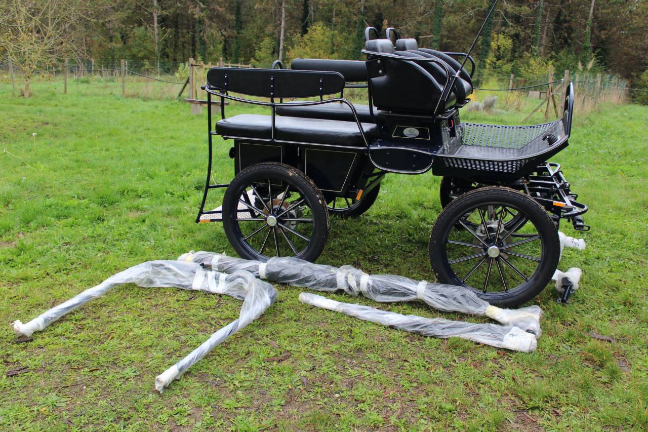 MARATHON TRAINING TR5