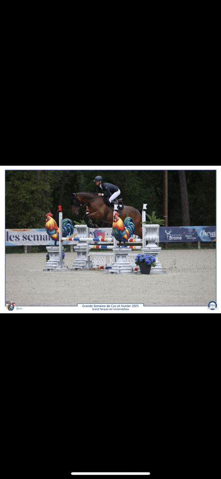 6 ans hyper concours cheval d’avenir 