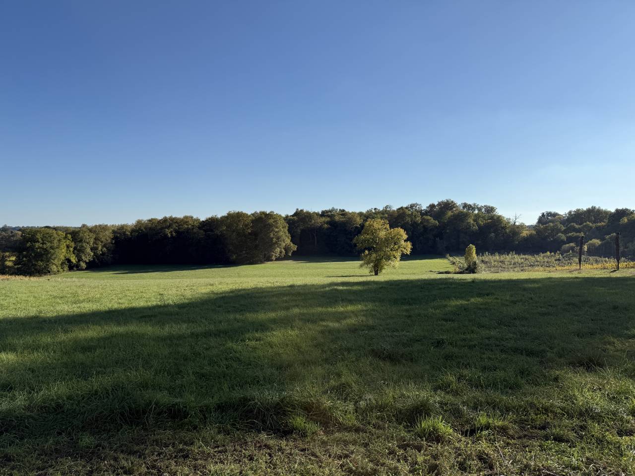 En gironde, sur 28 hect propriété à vocation équestre